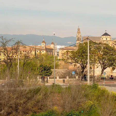 Апартаменти Mirada A La Mezquita *